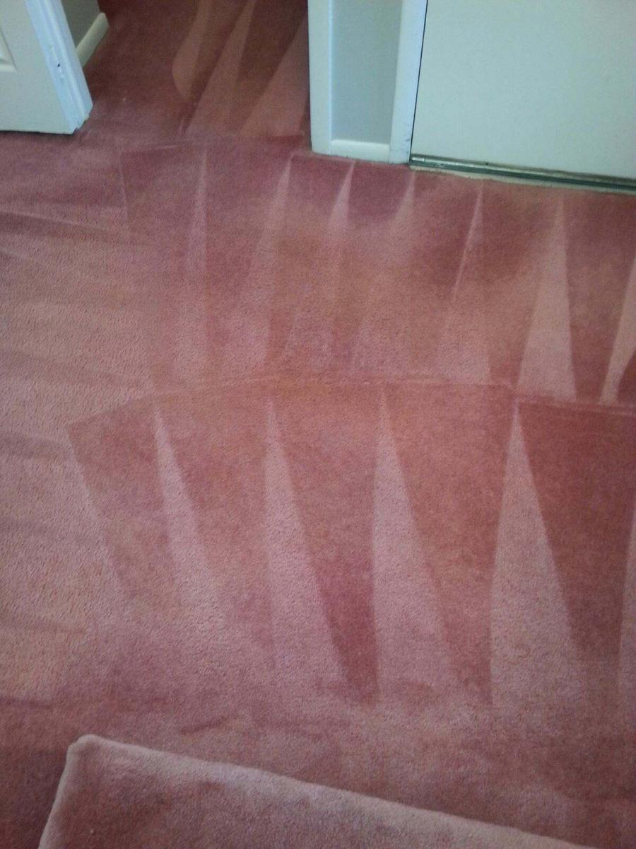 Premium Blackwood Carpet Cleaning Services