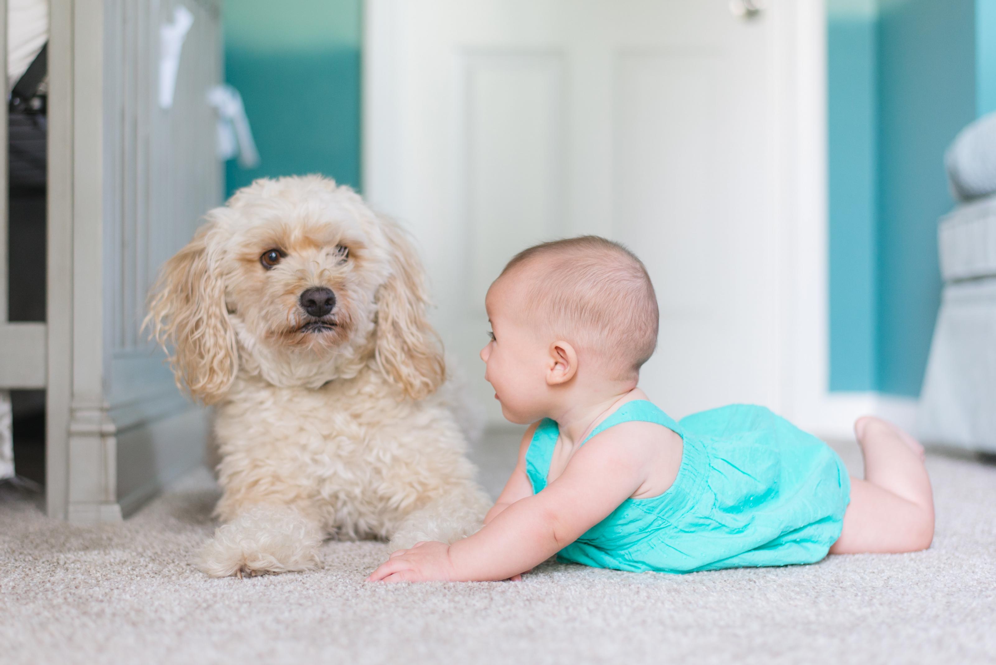 Ready To Get Rid Of Those Stubborn Carpet Stains