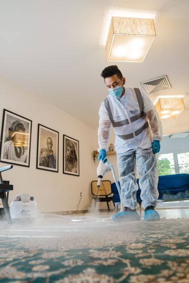 Carpet Cleaning Aesthetics: How Does Cherry Hill Stay Spotless?