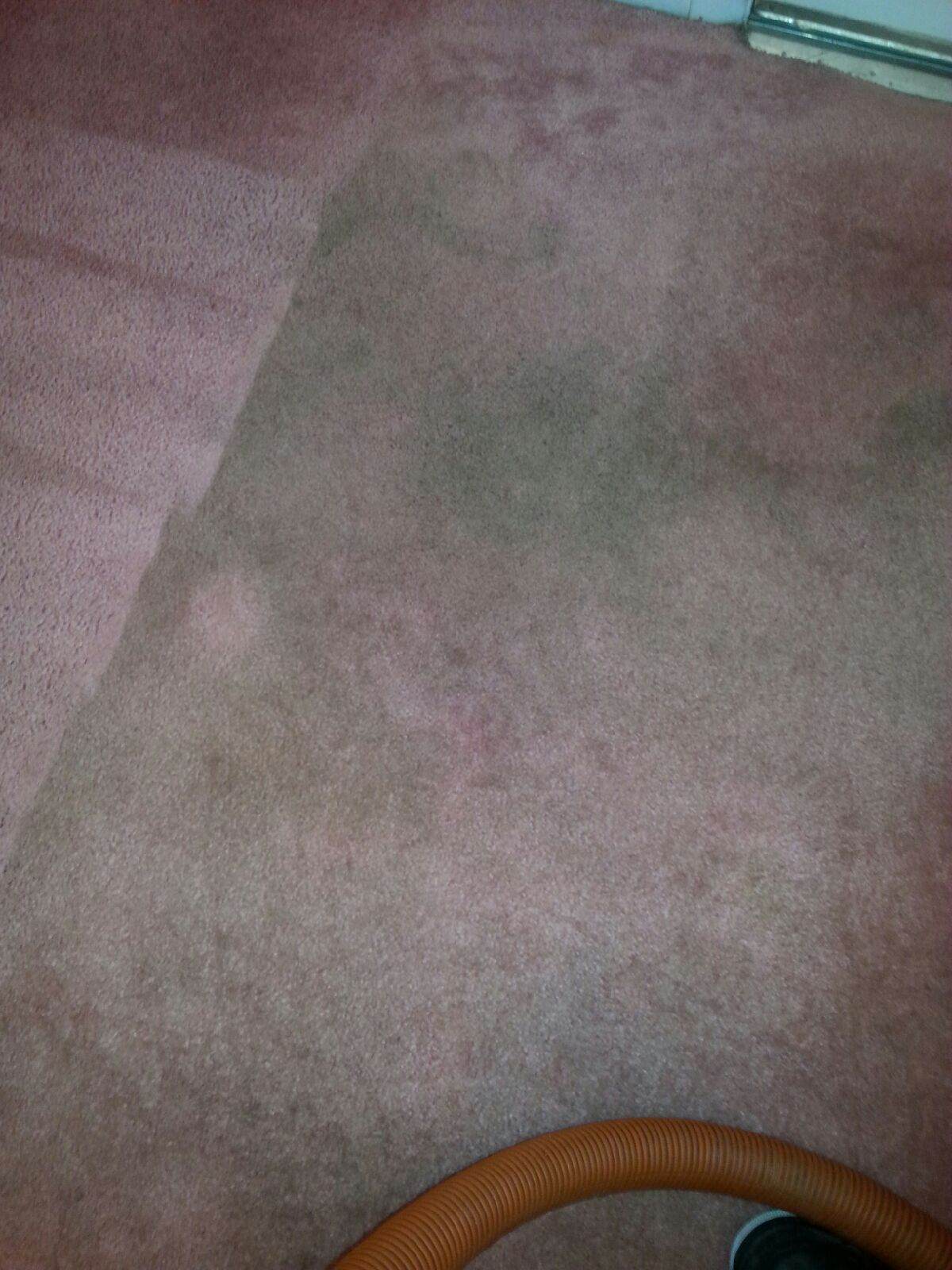 Goodbye to Stains: The Power of Cherry Hill Carpet Cleaning