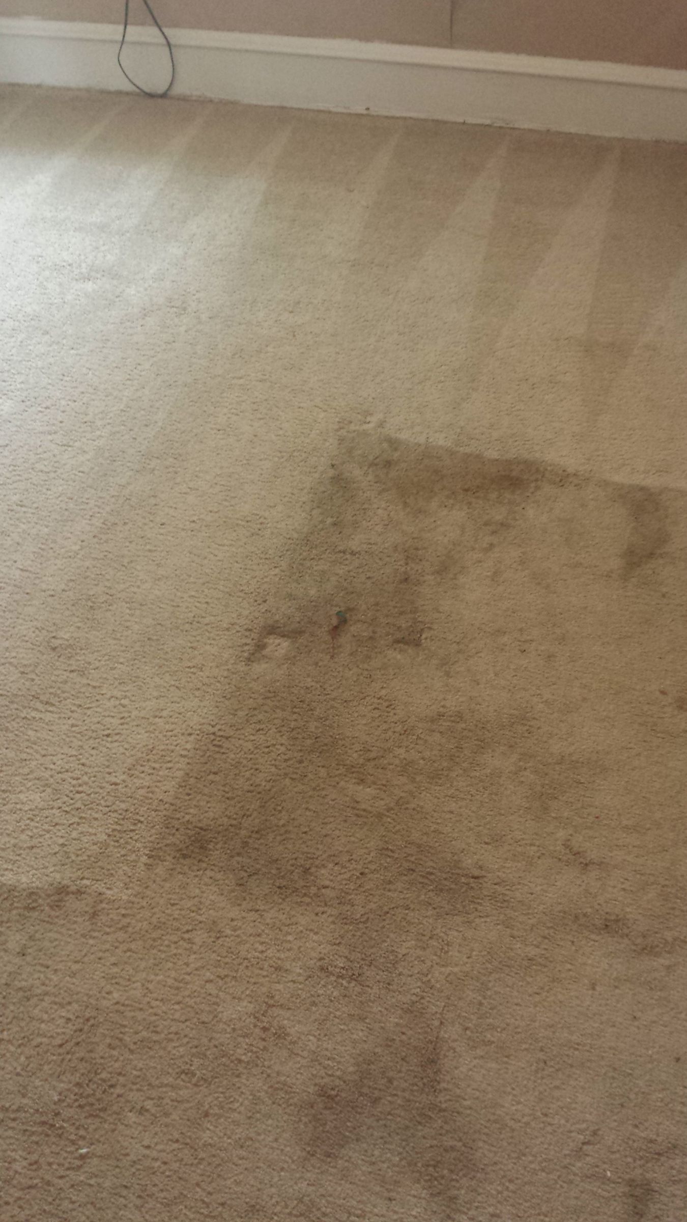 Carpet Cleaning