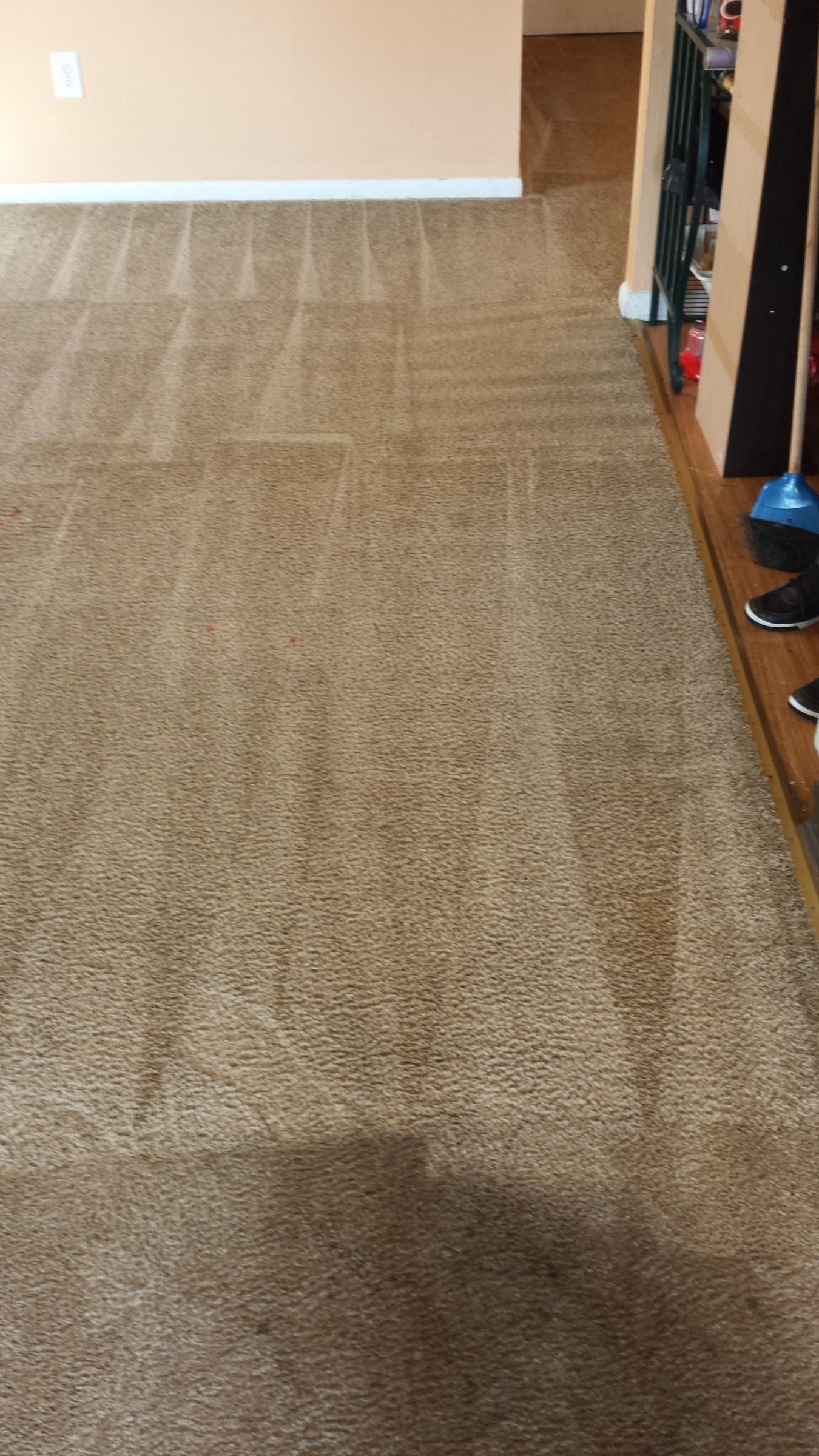 Moorestown Carpet Cleaning. Why You Don’t DIY Cleaning