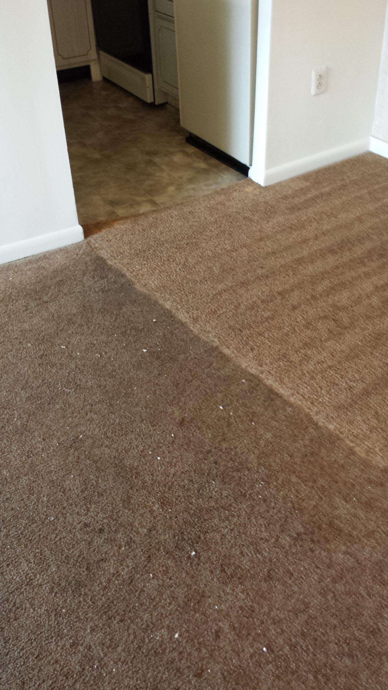 Moorestown Carpet Cleaning. Why Supreme Cleaning Matters