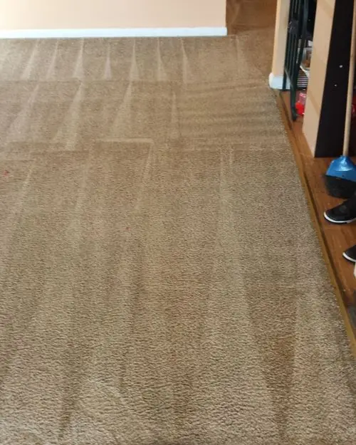 Beige carpet beside a stair railing with fresh wand strokes after cleaning