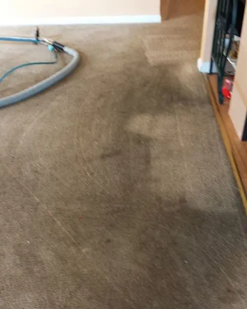 Beige carpet beside a stair railing with dark traffic lanes, before cleaning