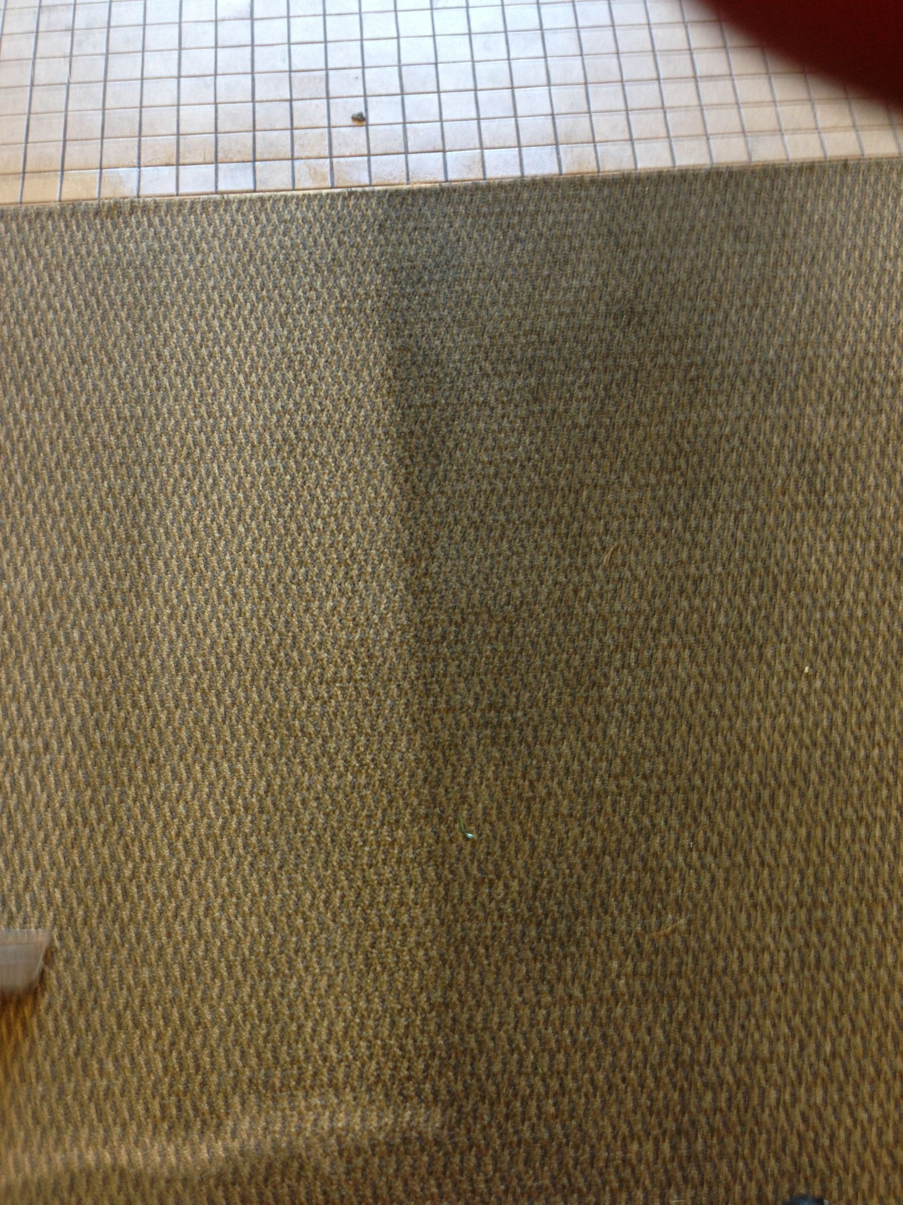Not All Stains Are Alike. Blackwood Carpet Cleaning Experts
